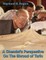 A Chemist's Perspective On The Shroud of Turin