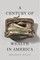 A Century of Wealth in America