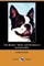 The Boston Terrier and All about It