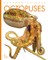 Octopuses