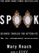 Spook: Science Tackles the Afterlife