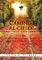 Camino Al Cielo
