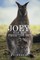 Joey, the Boy from the Sky
