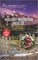 Lee, K: Holiday Mountain Rescue