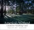 America's Wetland
