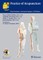 Hecker, H: Practice of Acupuncture