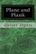 Plane and Plank
