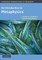 An Introduction to Metaphysics