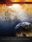 The Revealing of God