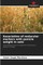 Association of molecular markers with panicle weight in oats