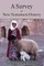 A Survey of New Testament History