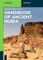 Handbook of Ancient Nubia