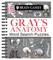 Brain Games - Gray's Anatomy Word Search Puzzles