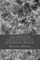 The Further Adventures of Robinson Crusoe