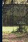 Genealogical and Personal History of the Upper Monongahela Valley, West Virginia, Under the Editorial Supervision of Bernard L. Butcher ... With an Account of the Resurces and Industries of the Upper Monongahela Valley and the Tributary Region; Volume 2