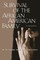 Survival of the African American Family