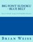 Big Font Sudoku - Blue Belt