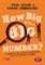 How Big Is a Big Number?