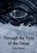 Through the Eyes of the Orcas