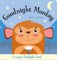 Goodnight Monkey