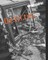 Detritus