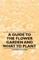 A Guide to the Flower Garden and What to Plant