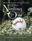 Nesting for One: When the Wait Prepares You for More In God!
