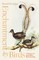 Enchantment by Birds