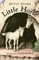 Byars, B: Little Horse