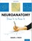 Neuroanatomy