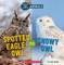 Spotted Eagle-Owl or Snowy Owl (Wild World)