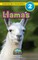 Llamas
