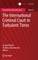 The International Criminal Court in Turbulent Times
