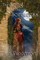 The Song and the Sorceress