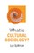 What Is Cultural Sociology?