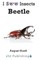 Beetle