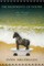 The Rudiments of Poetry: New Poems 2017-2018
