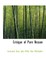 Critique of Pure Reason