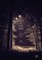 Poetics of Slow Cinema