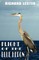 Flight of the Blue Heron