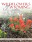 Wildflowers of Wyoming: Second Edition