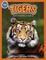 Tigers, Panthera Tigris ages 2-4