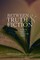 Between Truth and Fiction