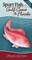 Sport Fish of the Gulf Coast & Florida