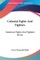 Colonial Fights And Fighters