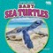 Baby Sea Turtles