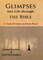 Glimpses into Life through The Bible