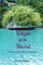 Flight of the Dudek