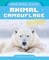 Animal Camouflage