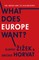 What Does Europe Want?